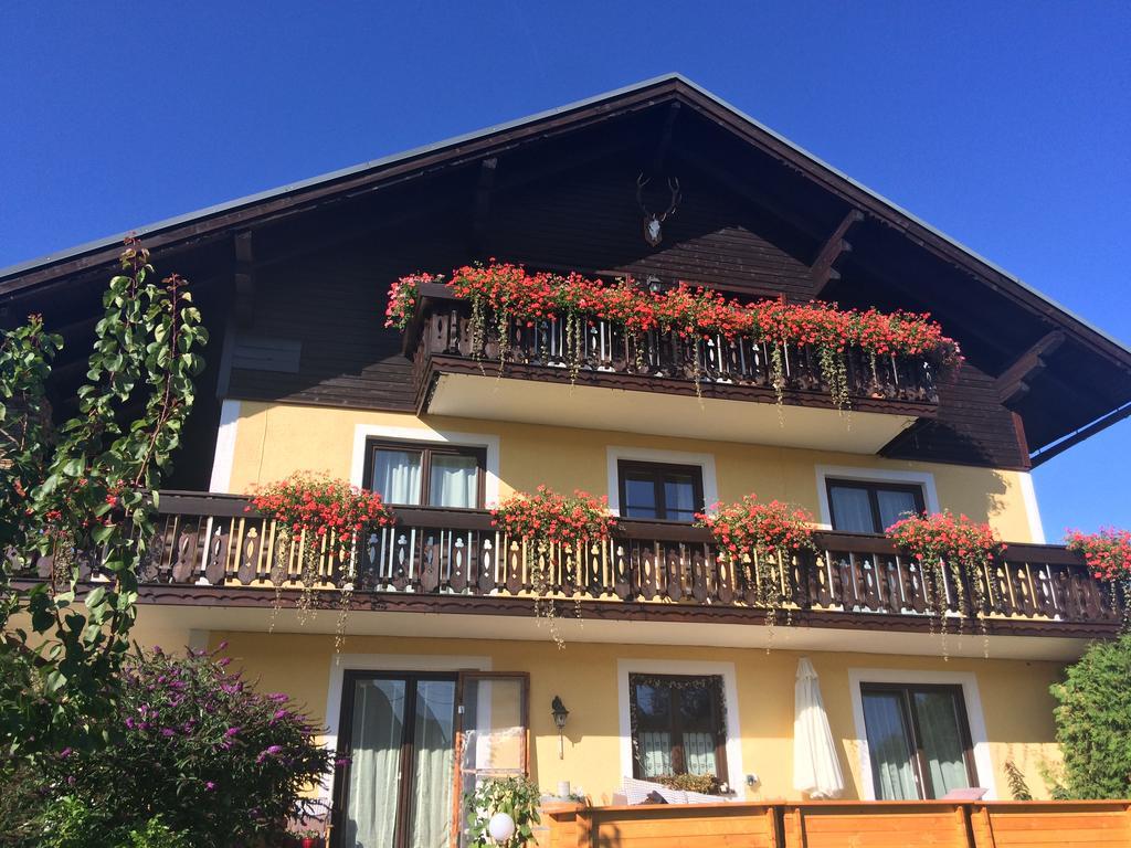 Haus Edeltraut Lägenhet Bad Mitterndorf Exteriör bild
